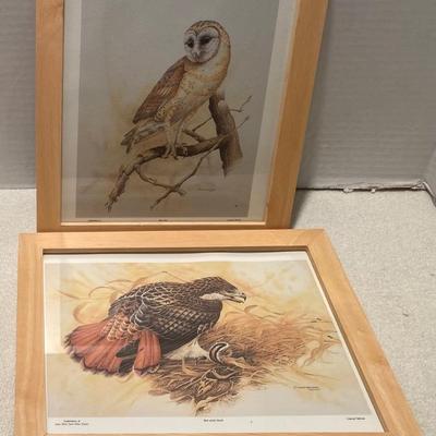 Bird Pictures
