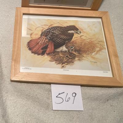 Bird Pictures