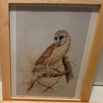 Bird Pictures