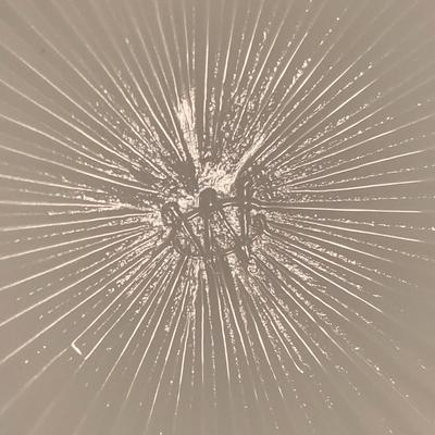 Milk Glass Compote Bowls, Candy Dishes, & More incl Westmoreland, Fenton, & More (B2-KW)