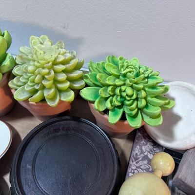 Decorative Items: Succulents, Flower Frog, Super Small Bird House