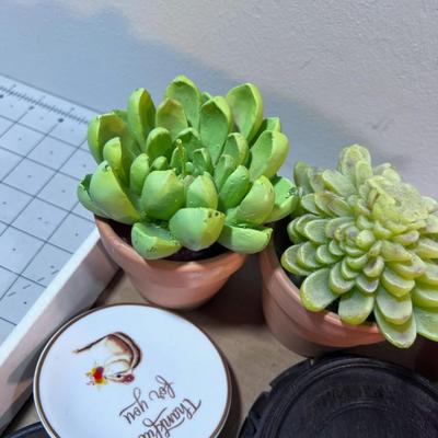 Decorative Items: Succulents, Flower Frog, Super Small Bird House
