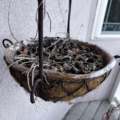 Hanging Basket Planters 