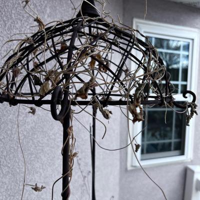 Hanging Basket Planters 