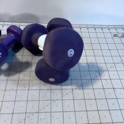 WEIGHTS: 2 , 3 and 5 Pound Weights