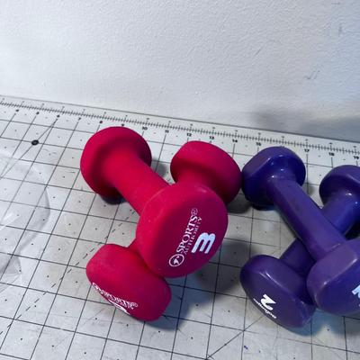 WEIGHTS: 2 , 3 and 5 Pound Weights