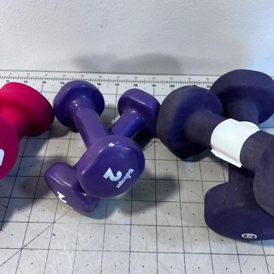 WEIGHTS: 2 , 3 and 5 Pound Weights