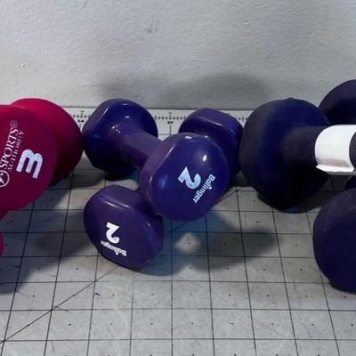 WEIGHTS: 2 , 3 and 5 Pound Weights