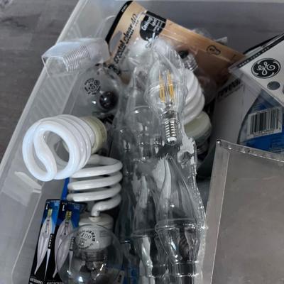 Huge lot of Light Bulbs 