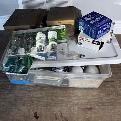 Huge lot of Light Bulbs 