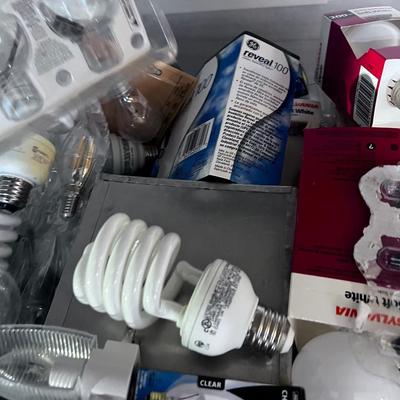 Huge lot of Light Bulbs 