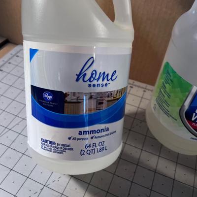 Down Stairs - Jugs of Cleaning Product: Ammonia, Bleach, Liquid Soap etc.