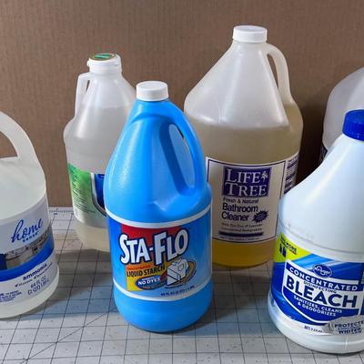 Down Stairs - Jugs of Cleaning Product: Ammonia, Bleach, Liquid Soap etc.