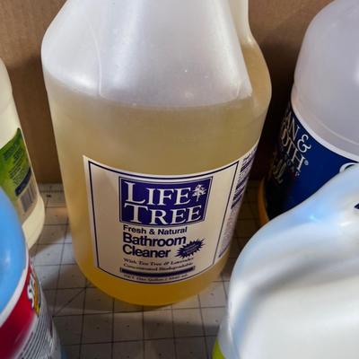 Down Stairs - Jugs of Cleaning Product: Ammonia, Bleach, Liquid Soap etc.