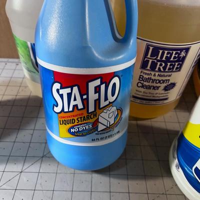 Down Stairs - Jugs of Cleaning Product: Ammonia, Bleach, Liquid Soap etc.