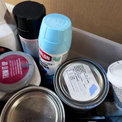 PAINT: Small Quarts and Hobby Plus Spray Paint.