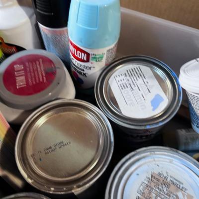 PAINT: Small Quarts and Hobby Plus Spray Paint.