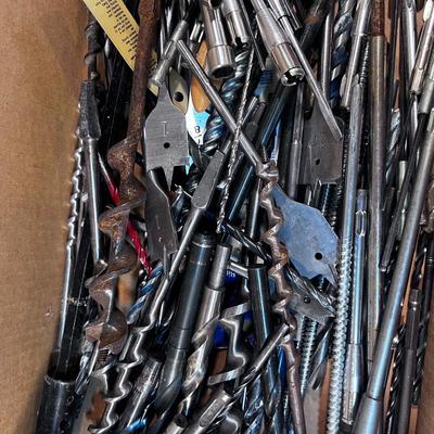 Tray of Drill Bits