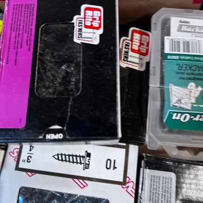 Tray of Screws and Nails 