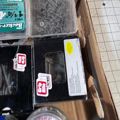 Tray of Screws and Nails 