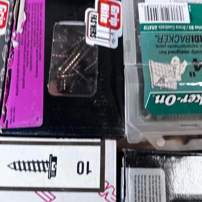Tray of Screws and Nails 