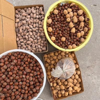 Nuts!