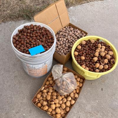 Nuts!