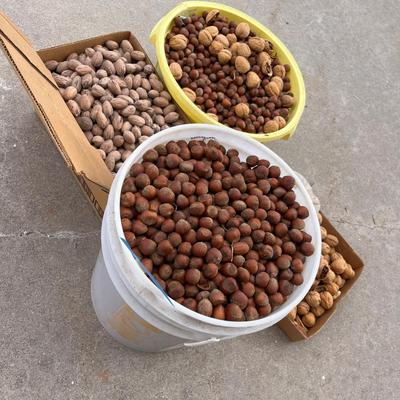 Nuts!