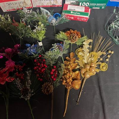 Christmas Lights & More (BS2-MG)