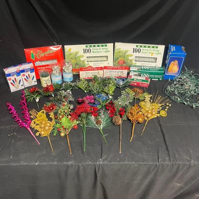 Christmas Lights & More (BS2-MG)