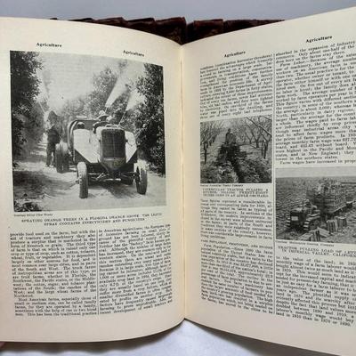 1941 Standard American Encyclopedia Complete Set