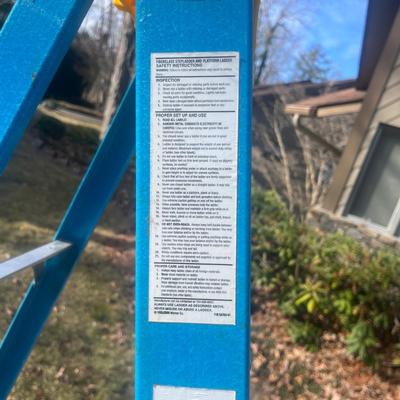 Werner Fiberglass Stepladder (G-MG)