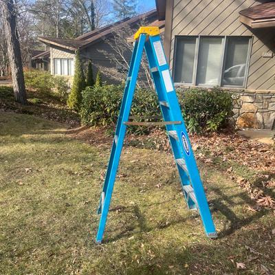 Werner Fiberglass Stepladder (G-MG)