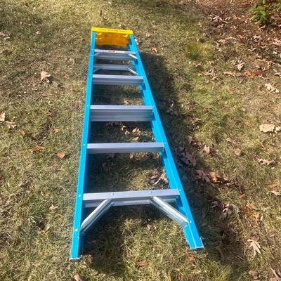 Werner Fiberglass Stepladder (G-MG)