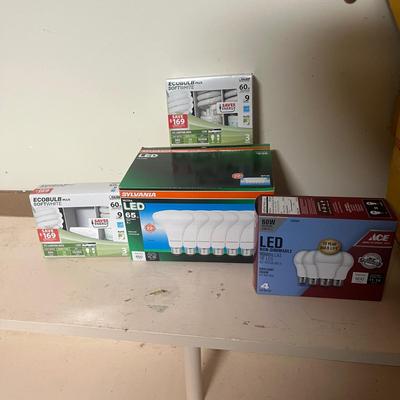 Selection of Light Bulbs (G-MG)