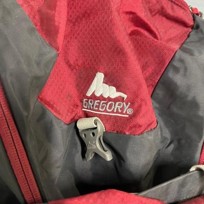 Gregory Backpack & Electronic Dry Case