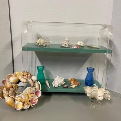 Seashells with Displays