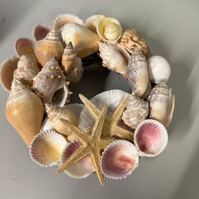 Seashells with Displays