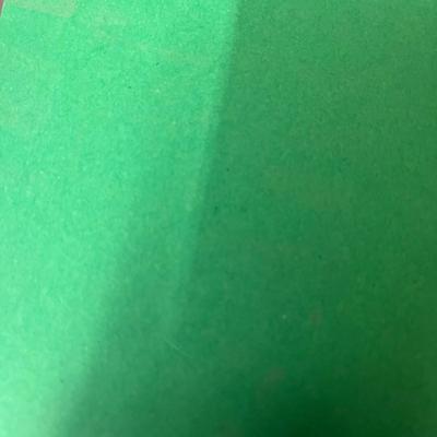 Native American Couple Portraits