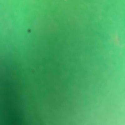 Multi-Colored Mini Lights and Advent Calendar