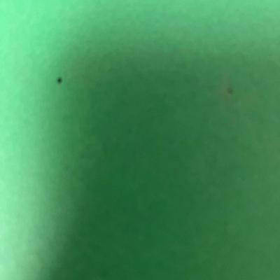 Fioni Black Wedge Sandal - Womens Size 8.5