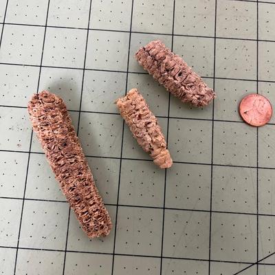 Native American Artifacts - Corn & Pottery 