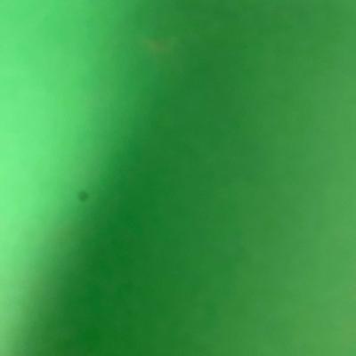 Canon EOS Rebel X - Film Camera with Vivitar Flash