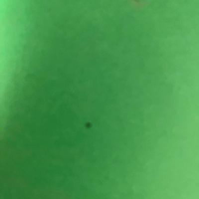 Kombi Snow Gloves - Mens XL