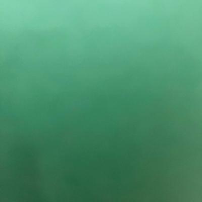 North Face Sleeping Pad