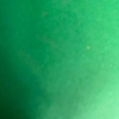 Roomba Robotic Floor Vacuum- Works!