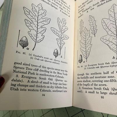 Trees and Shrubs of the Rocky Mountain Region