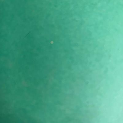 Trees and Shrubs of the Rocky Mountain Region