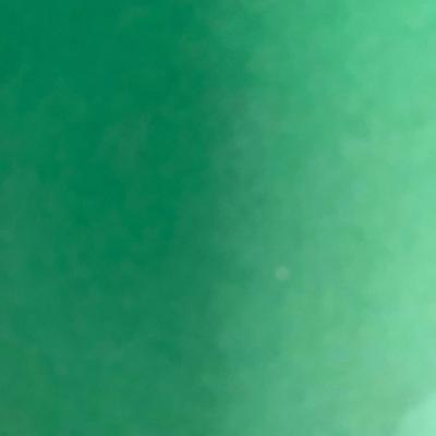 Sprinkle Donut Purse