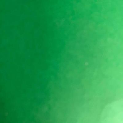 Dragonology - The Complete Book of Dragons